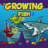 Growing Fish