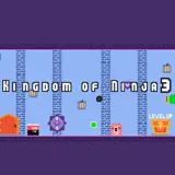 Kingdom of Ninja 3