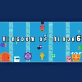 Kingdom of Ninja 6