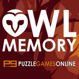 Owl Memory