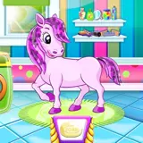 Pony Pet Salon