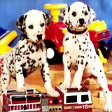 Puppy Pairs Puzzle